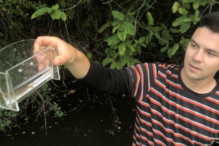 Joe Clark holds a container with a cutthroat trout fry.